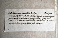 Detalle 1
